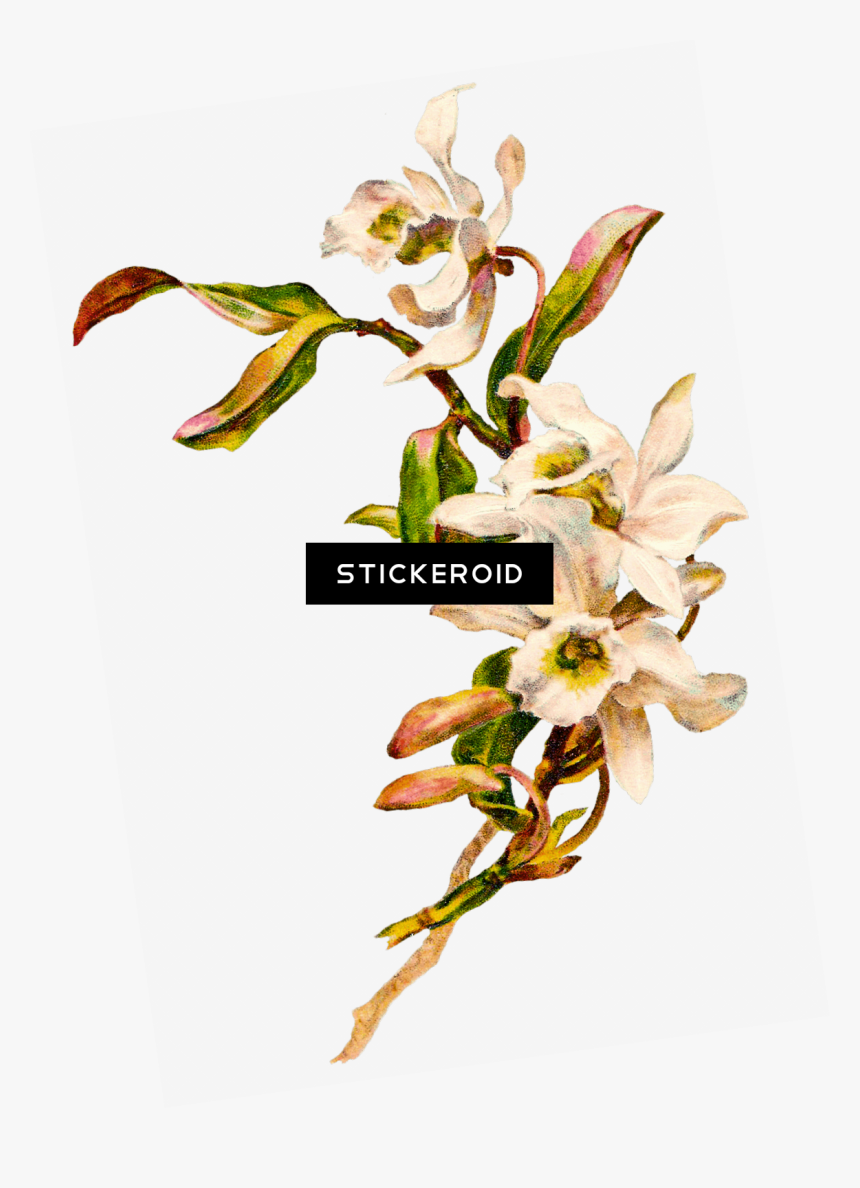 Flowers Bouquet , Png Download, Transparent Png, Free Download