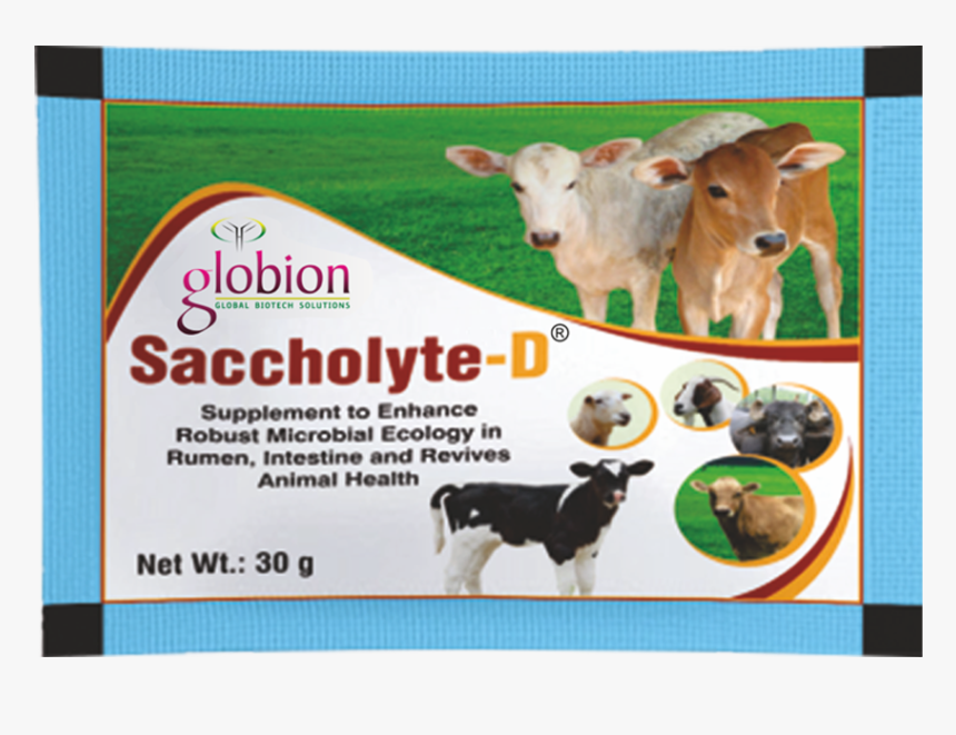 Saccholyte-d Fi - Dairy Cow, HD Png Download, Free Download