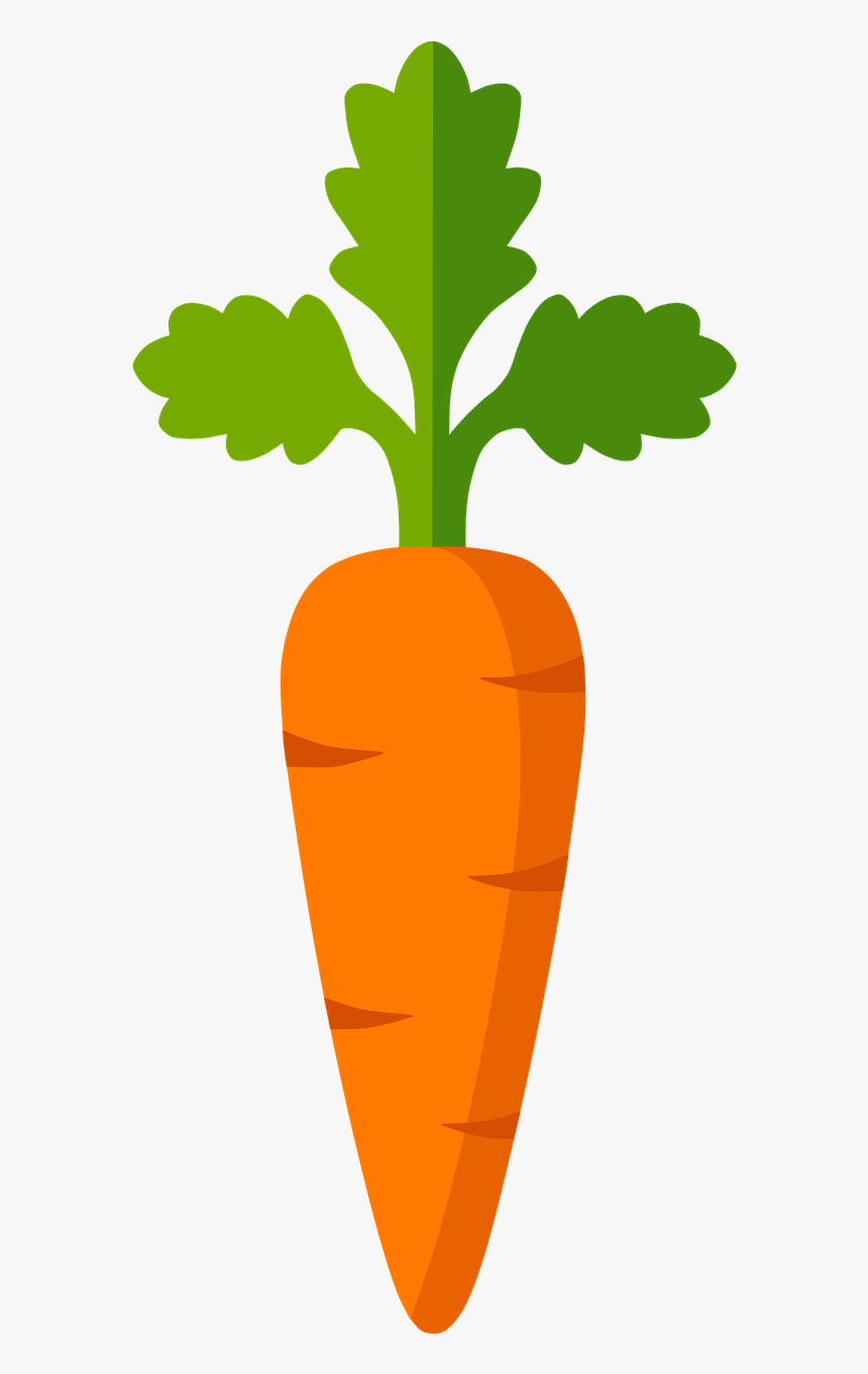 Carrot, HD Png Download, Free Download