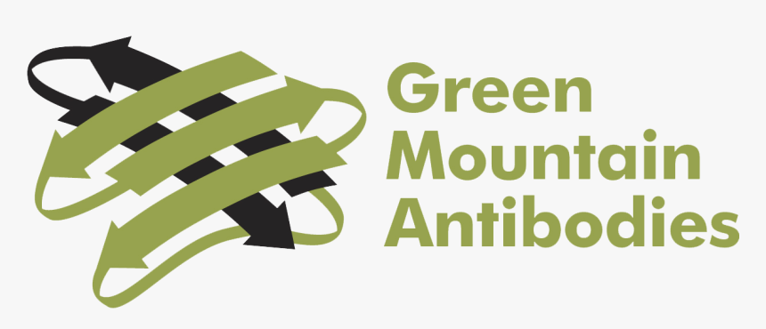 Green Mountain Antibodies - Calligraphy, HD Png Download, Free Download