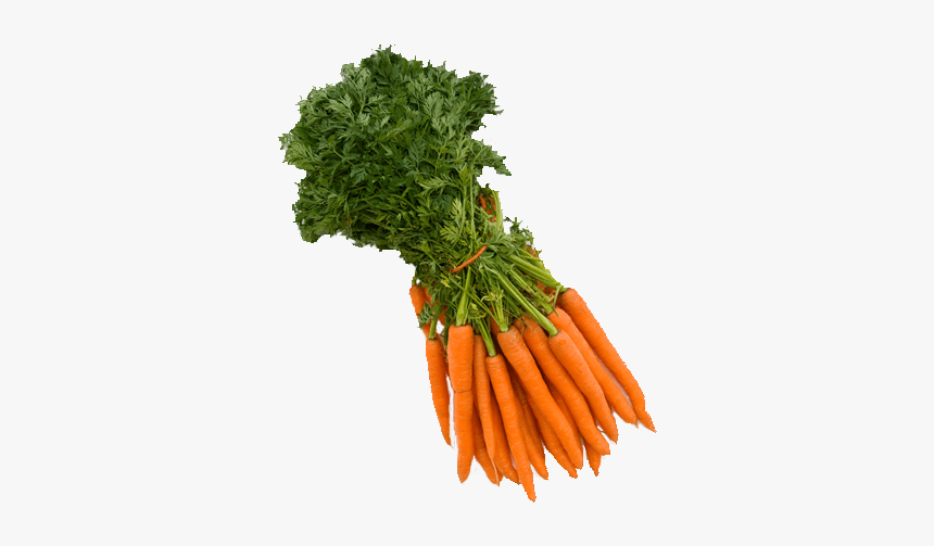 Carrot Bunch Png - Picked Vegetables Png, Transparent Png, Free Download
