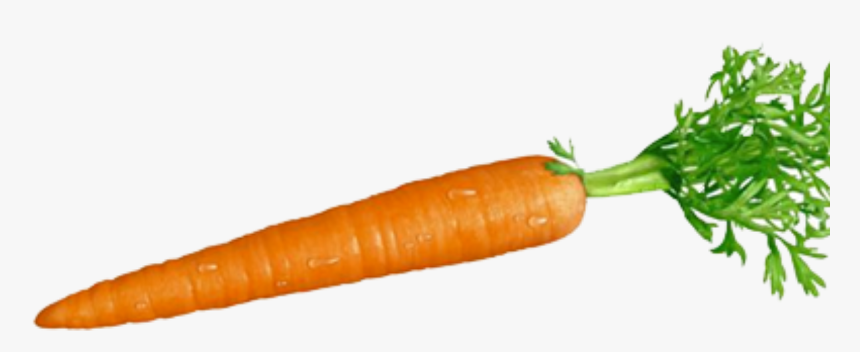 Carrot And Stick Root Vegetables Food - Transparent Background Carrot Transparent, HD Png Download, Free Download