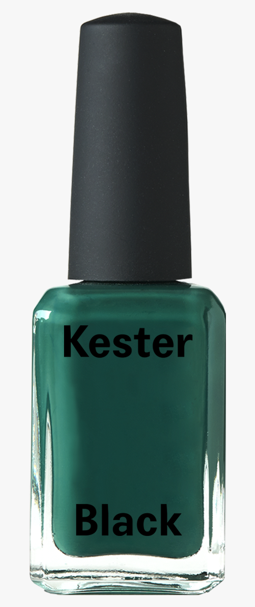 Forest, HD Png Download, Free Download