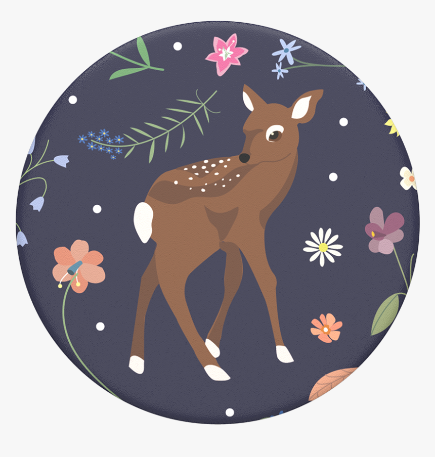 Fawn John, Popsockets - White-tailed Deer, HD Png Download, Free Download