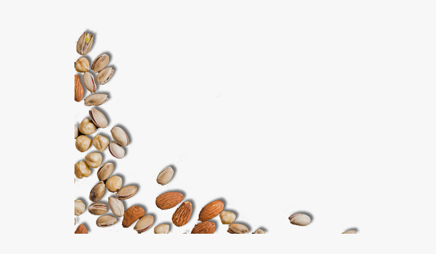 Baja - Seed, HD Png Download, Free Download