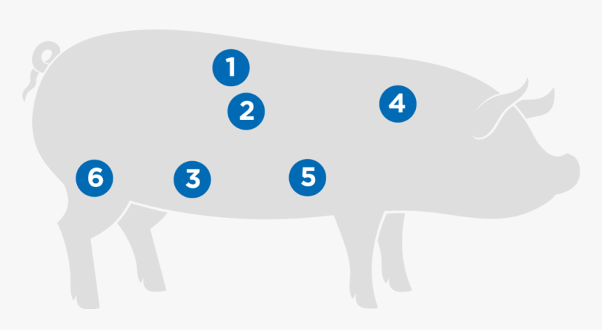 Pork, HD Png Download, Free Download
