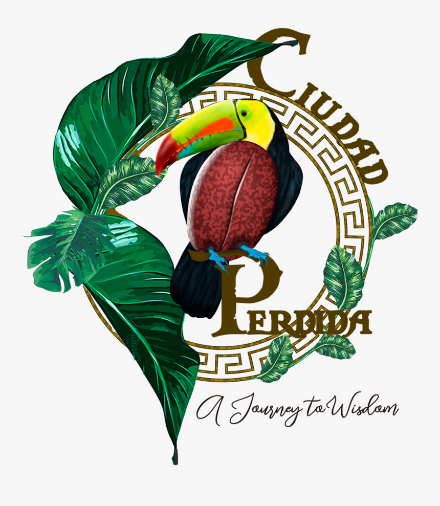 Ciudad Perdida Logo 1 - Illustration, HD Png Download, Free Download