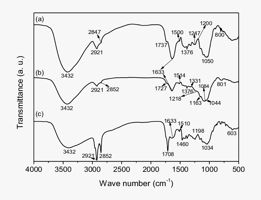 Ftir Of Rice Husk, HD Png Download, Free Download