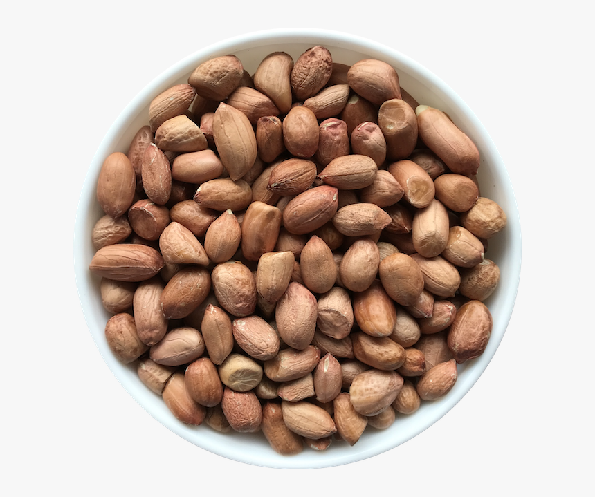 Seed, HD Png Download, Free Download