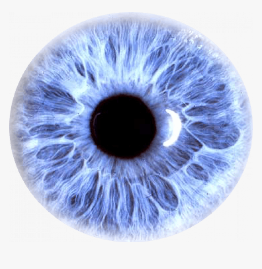 Blue Eye Lens Png, Transparent Png, Free Download