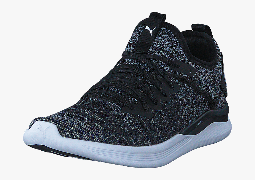 Ignite Flash Evoknit Puma Black Asphalt Puma White - Basketball Shoe, HD Png Download, Free Download