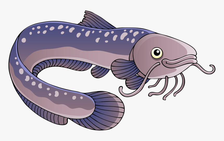 Transparent Flounder Clipart - Electric Eel Eel Clipart Png, Png Download, Free Download