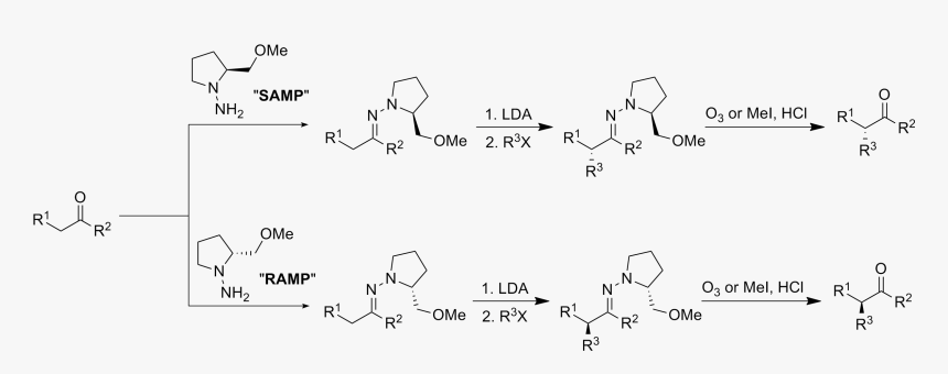 File - Endersreaction - Alkylation Of Aldehydes Mechanism, HD Png Download, Free Download