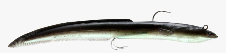 Transparent Eel Invisible - Anago, HD Png Download, Free Download