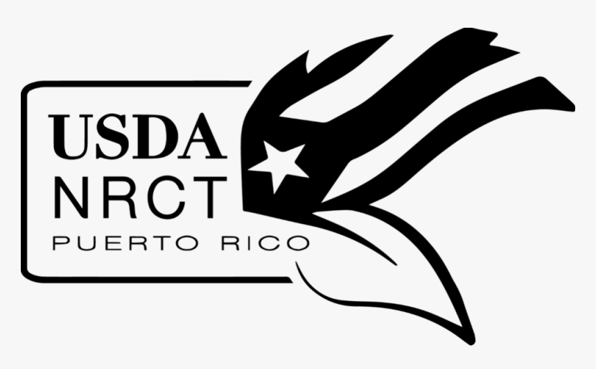 Usda Logo Png, Transparent Png, Free Download