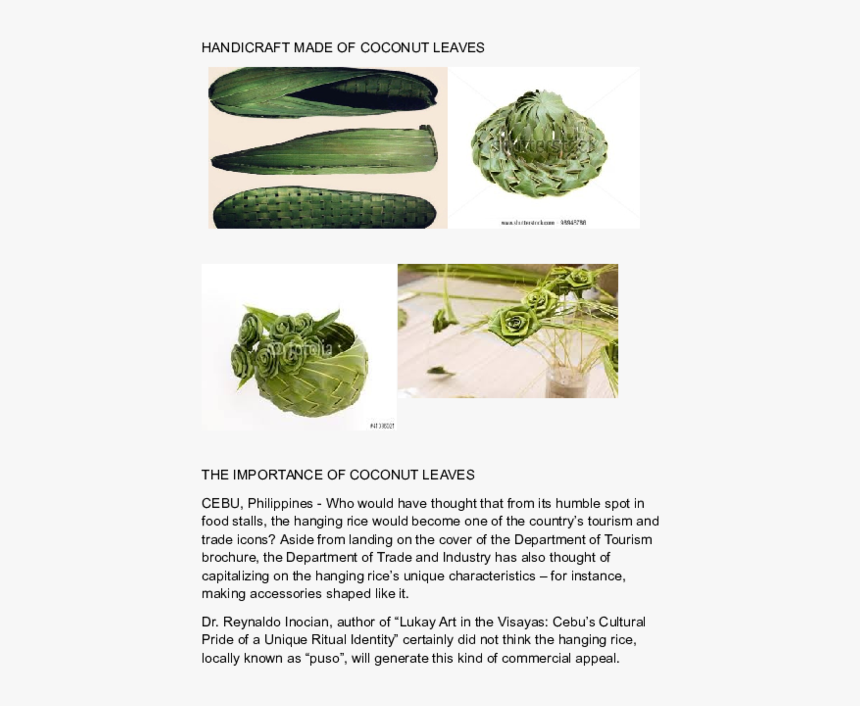 Broccoli, HD Png Download, Free Download