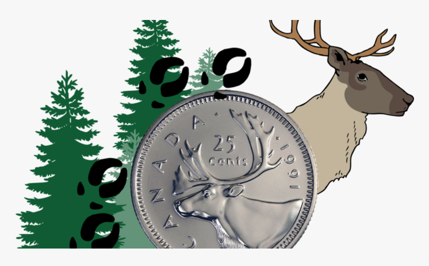 Caribou Banner Blog Aug 28 - Vector Pine Tree Png, Transparent Png, Free Download