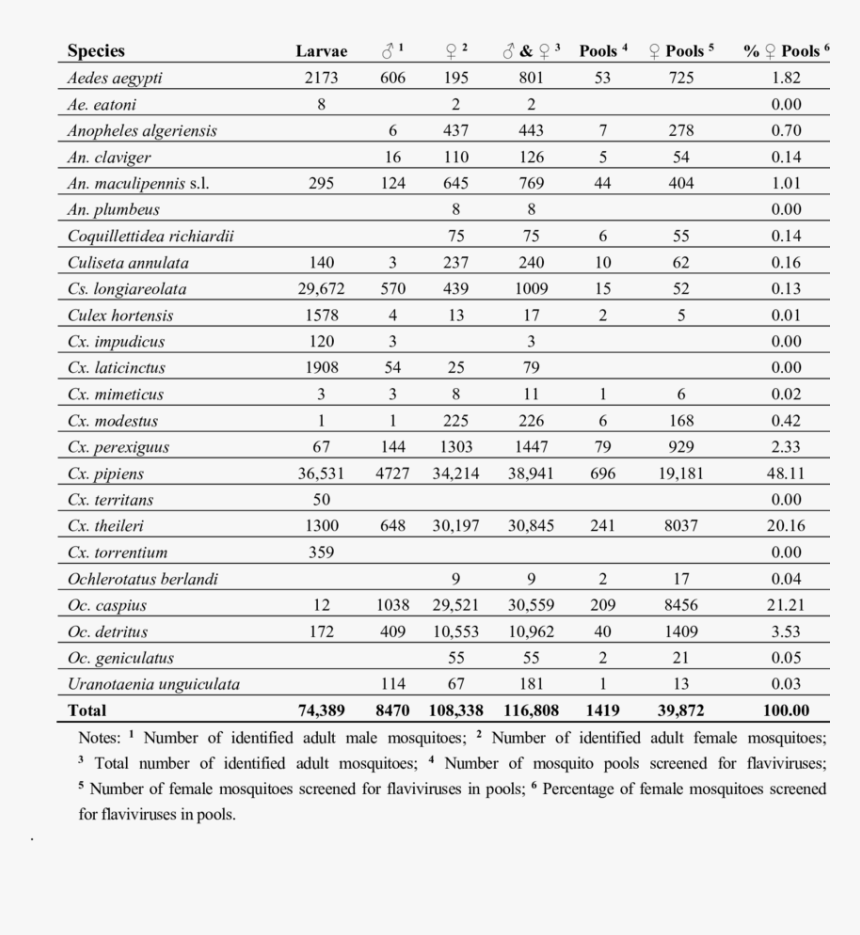 Letnie Igrzyska Olimpijskie Dyscypliny, HD Png Download, Free Download