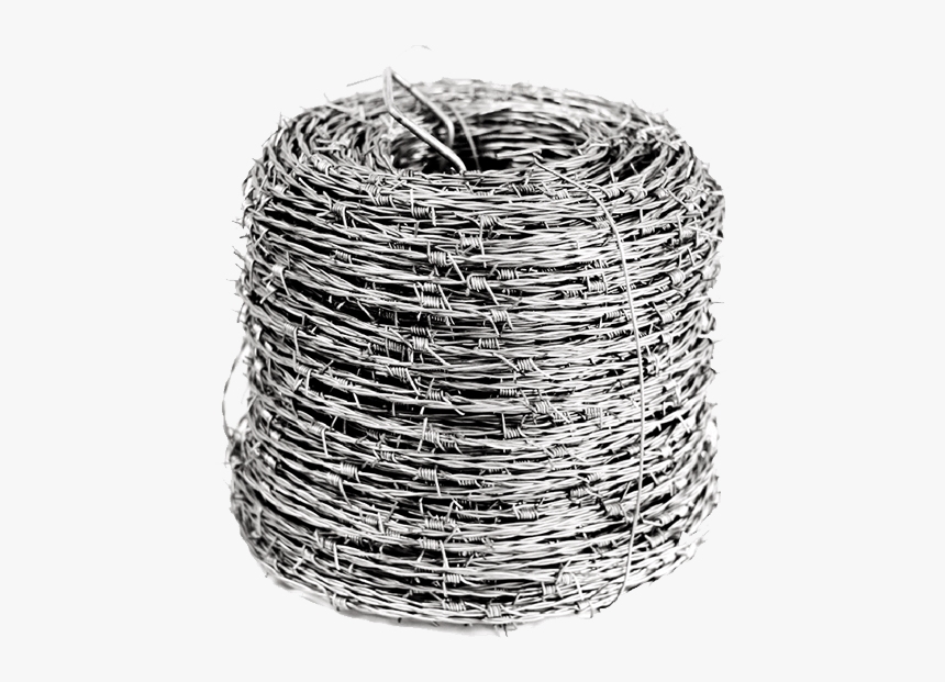 Pua Png, Transparent Png, Free Download