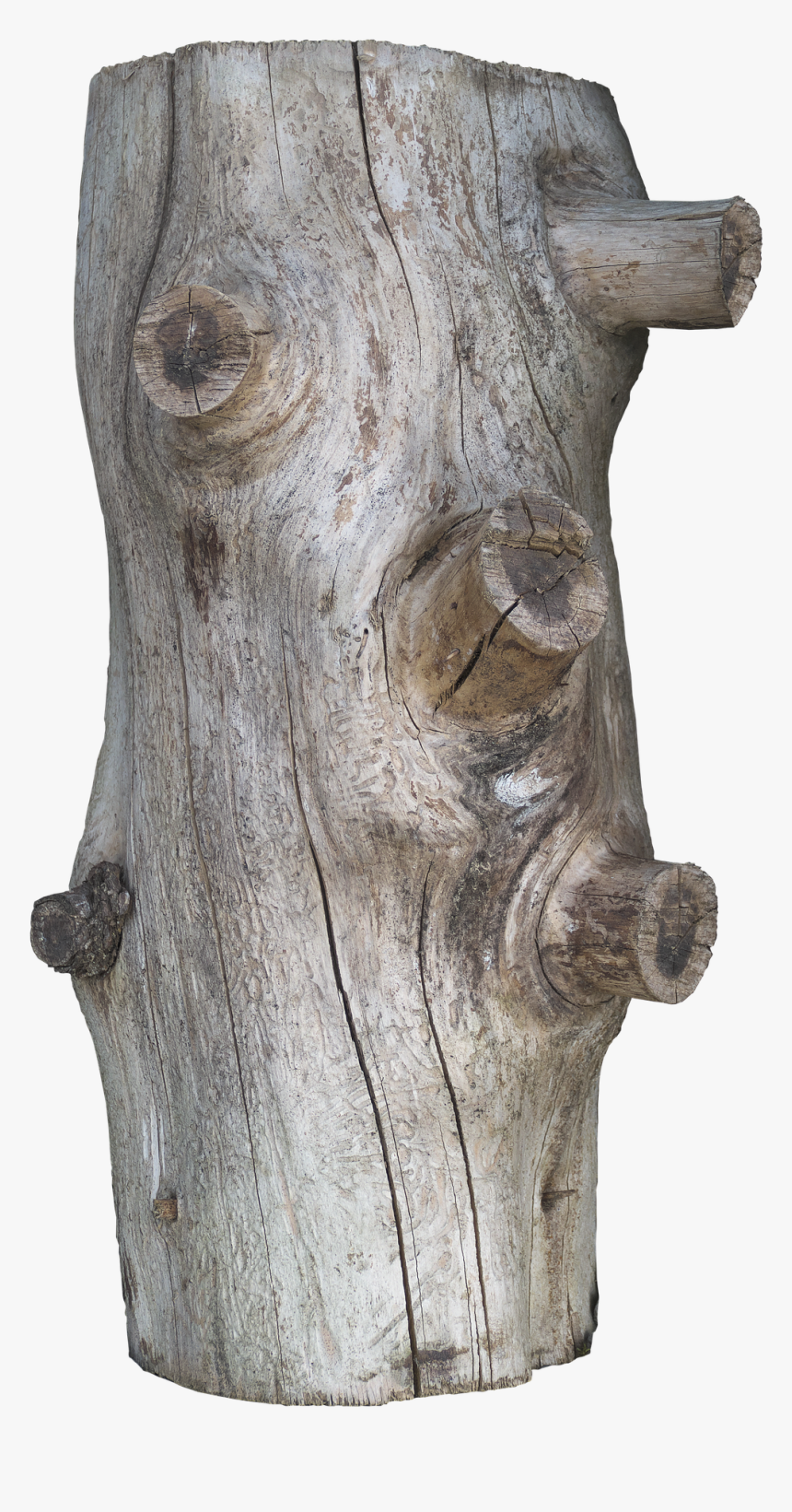 Driftwood, HD Png Download, Free Download