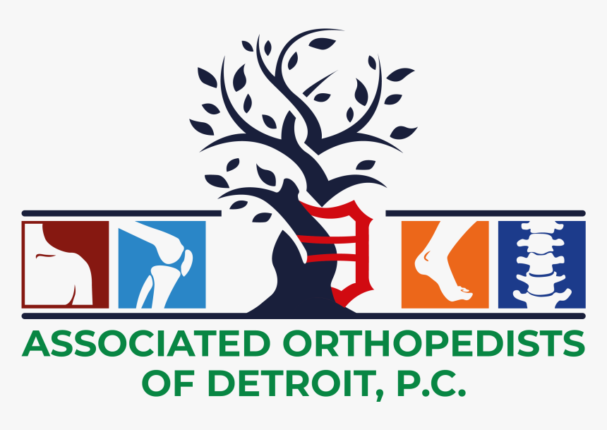 Associated Orthopedists Of Detroit, P - Graphic Design, HD Png Download, Free Download