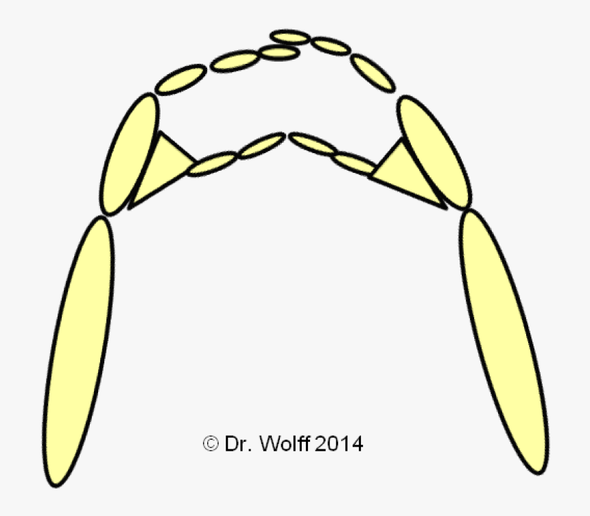 Strengthening Of Intrinsic Hand Muscles For Musicians, HD Png Download, Free Download