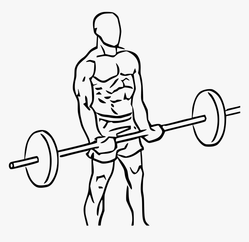 Barbell Curl Icon , Png Download - Biceps Curl Png, Transparent Png, Free Download