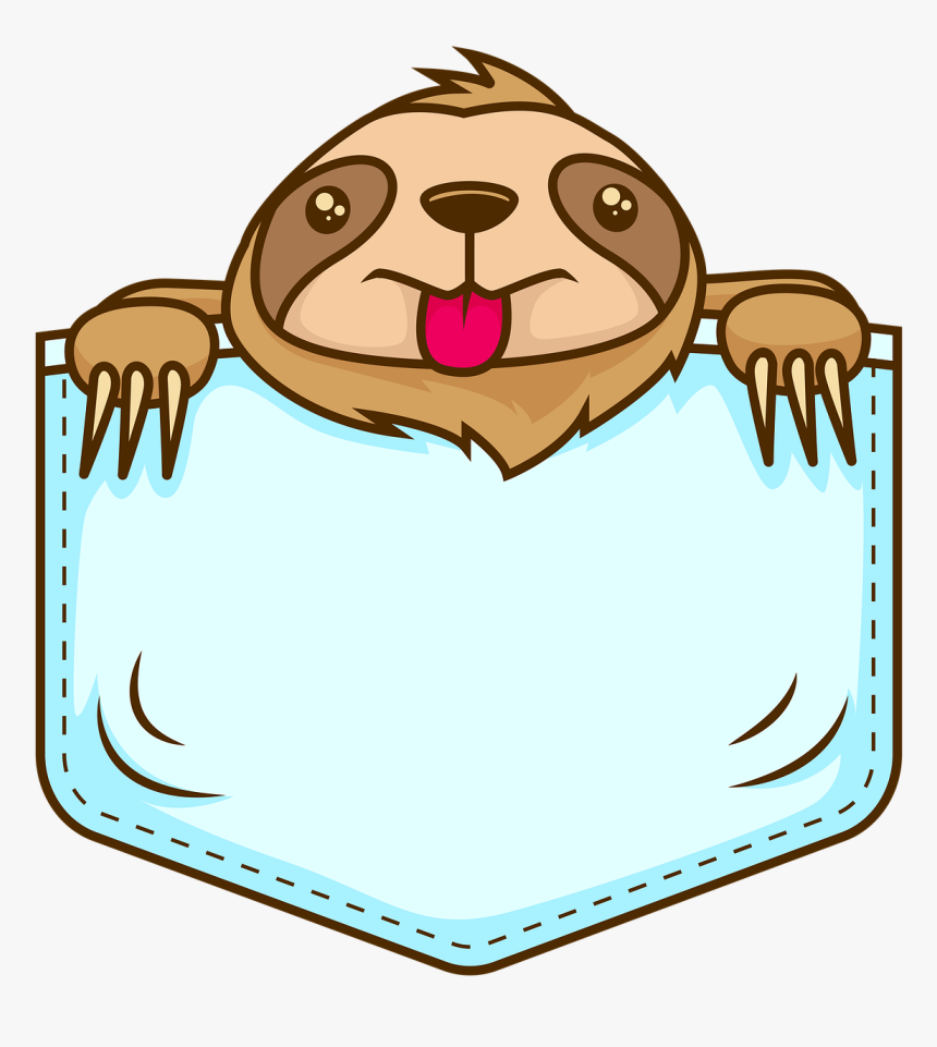 Sloths, HD Png Download, Free Download