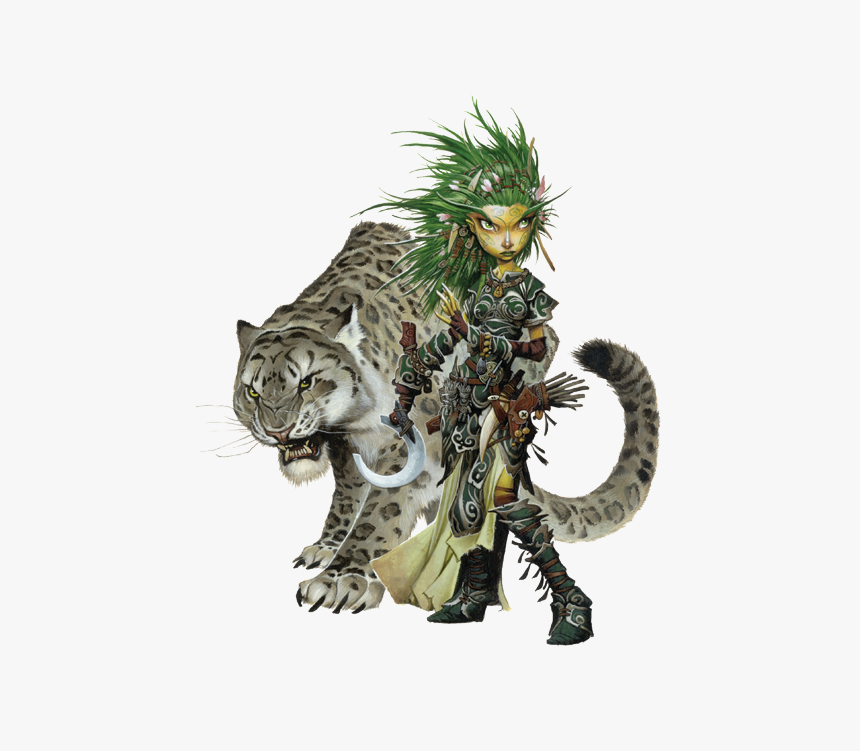 Pathfinder Gnome, HD Png Download, Free Download