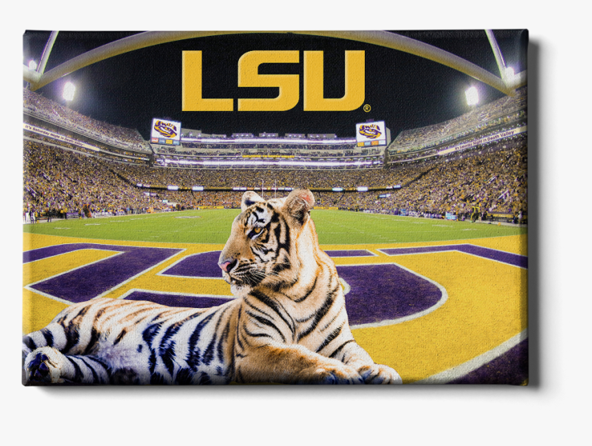 Tiger Stadium, HD Png Download, Free Download