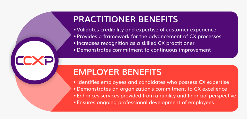 Practitioner And Employer Benefits Of The Ccxp - Circle, HD Png Download, Free Download