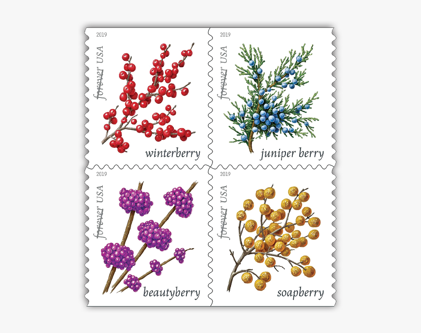 Early Winter Berries Arrive September - Us Postage Stamps 2019, HD Png Download, Free Download