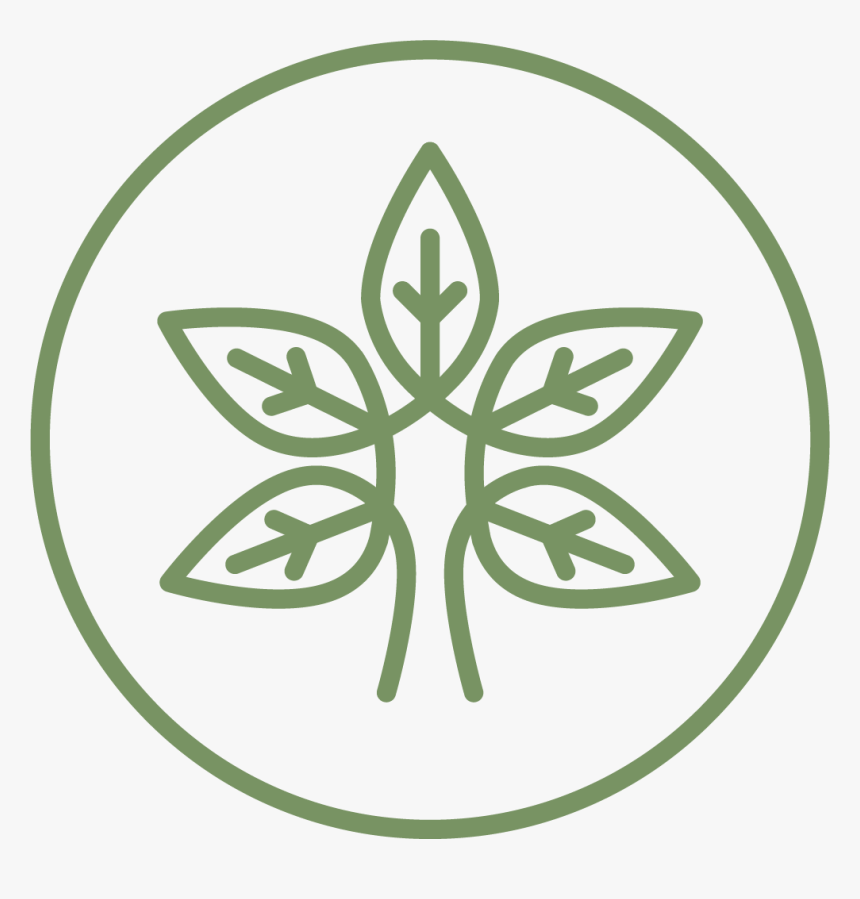 Yoga Icon 15 - Pura Vida Health Cannabis, HD Png Download, Free Download