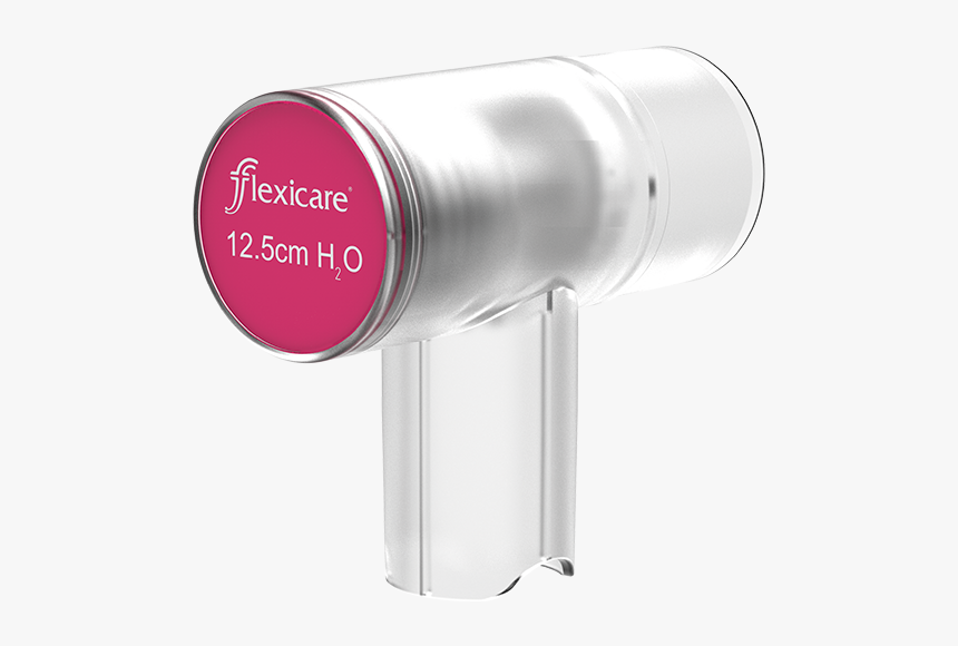 Cosmetics, HD Png Download, Free Download