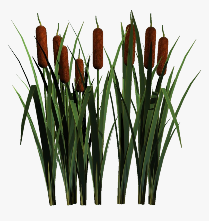 Bulk Cat Tails, HD Png Download, Free Download