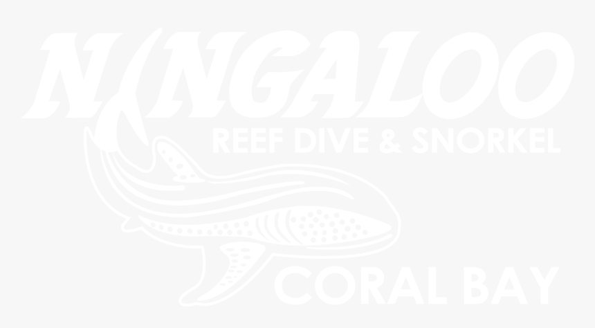 Ningaloo Reef Dive And Snorkel, HD Png Download, Free Download