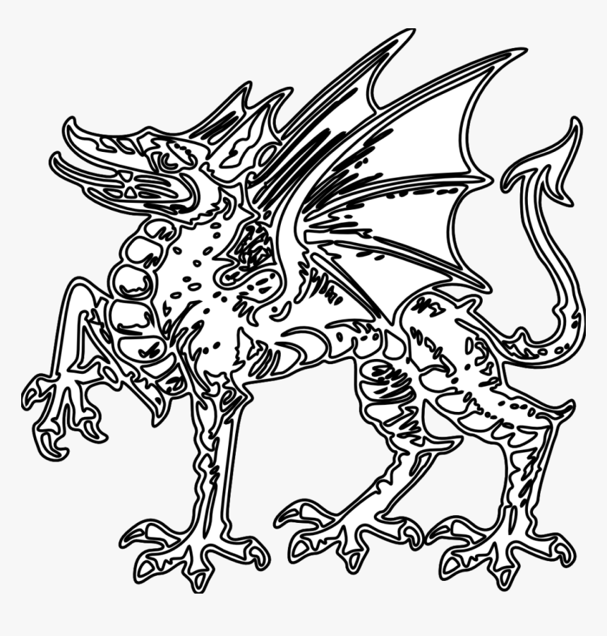 Simple Dragon Clipart Coloring Book 9 Black And White - Coloring Book, HD Png Download, Free Download