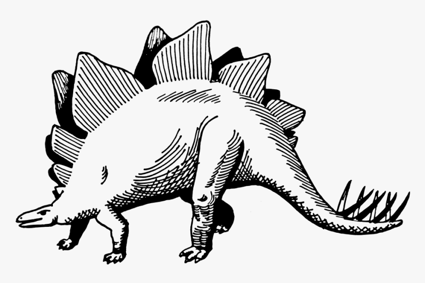 Stegosaurus Png , Png Download - Vector Dinosaur Black And White, Transparent Png, Free Download