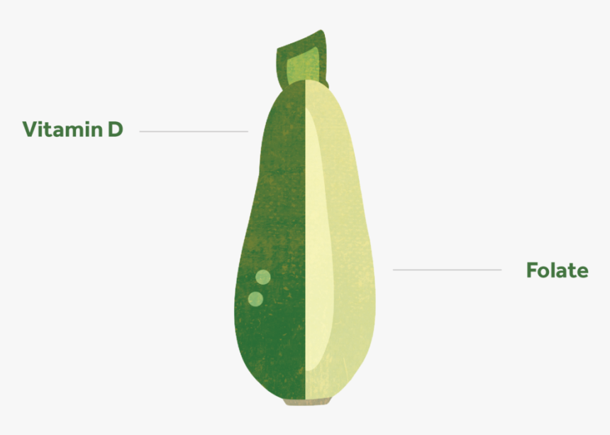 Zucchini , Png Download - รองเท้า เพื่อ สุขภาพ Fitflop, Transparent Png, Free Download