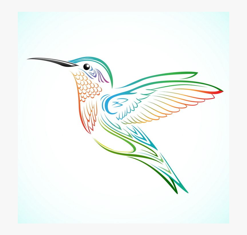 Hummingbird Tattoo Drawing, HD Png Download, Free Download