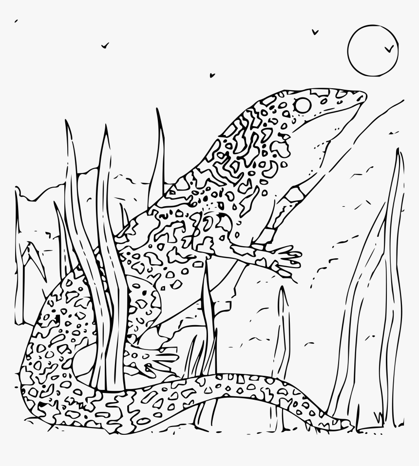 Monitor Lizard Coloring Page, HD Png Download, Free Download