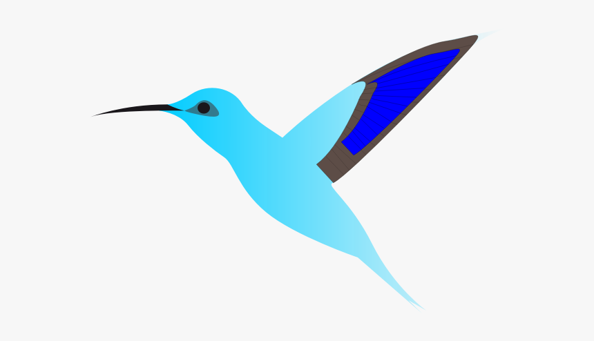 Graphics Of Humming Bird In Flight - Kartun Burung Png, Transparent Png, Free Download