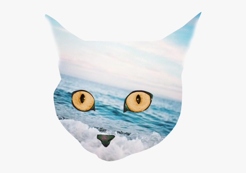 Thumb Image - Catwang Png, Transparent Png, Free Download