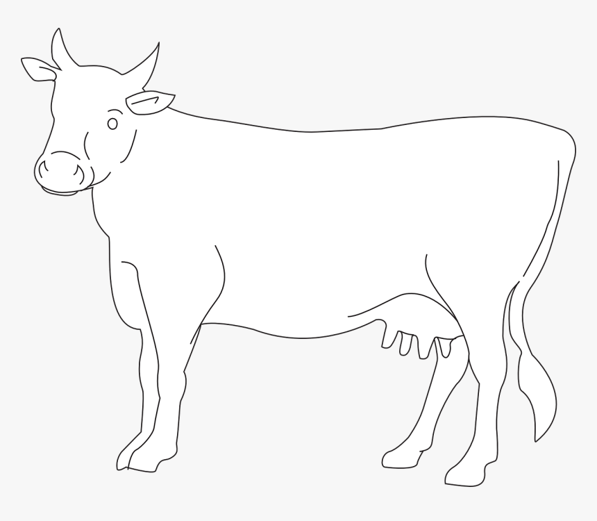 Cow Vector Png White, Transparent Png, Free Download