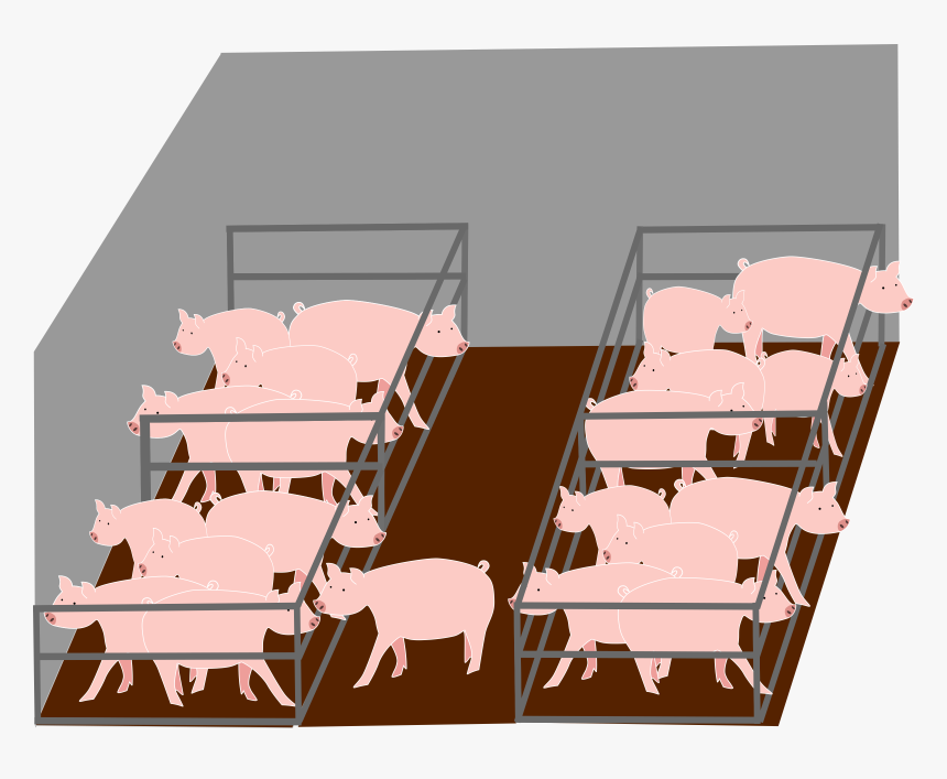 Inside Pigs Industrial Farm - Pig Farm Clip Art, HD Png Download, Free Download