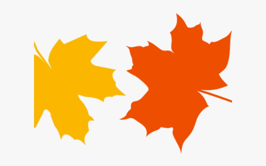 Image Of Maple Leaf - Hojas De Otoño Vector, HD Png Download, Free Download