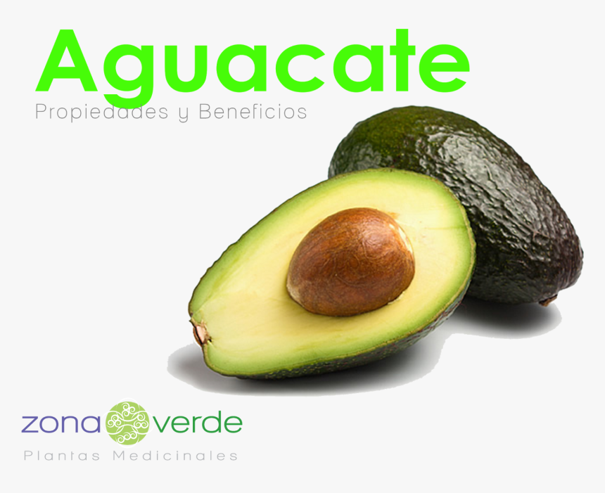 Avocado, HD Png Download, Free Download