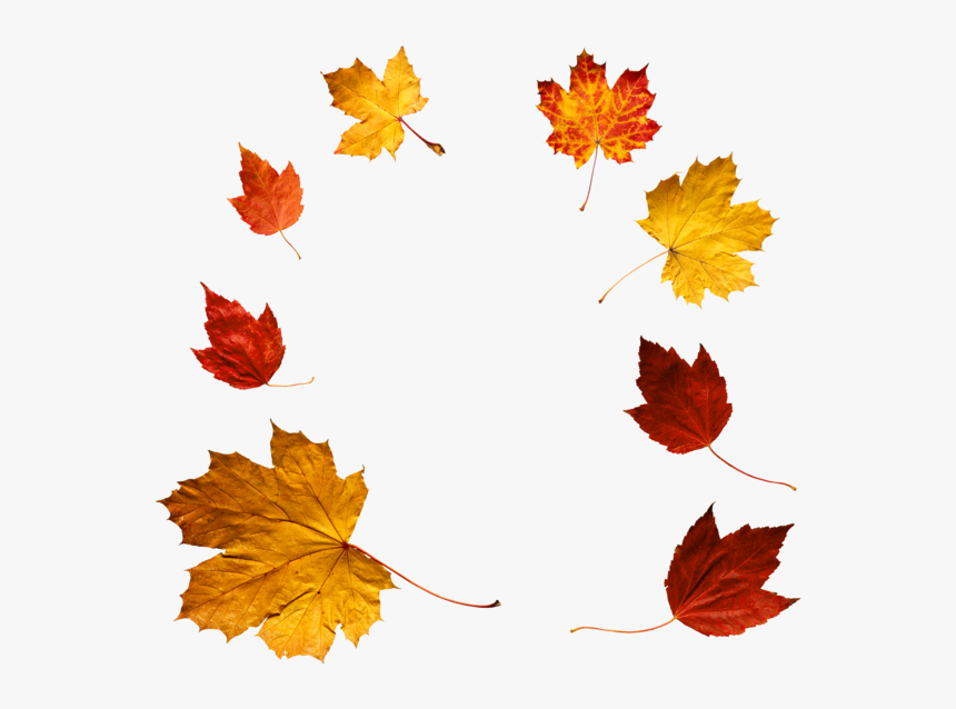 Overlay Falling Leaves Png, Transparent Png, Free Download