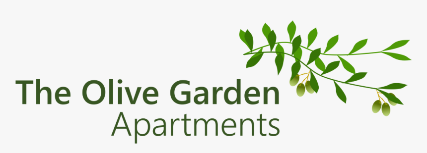 The Olive Garden Apartments - Transparent Background Olive Branch Transparent Png, Png Download, Free Download