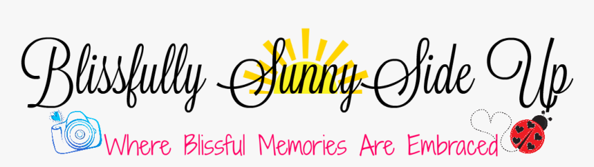 Blissfully Sunnyside Up - Spylight, HD Png Download, Free Download